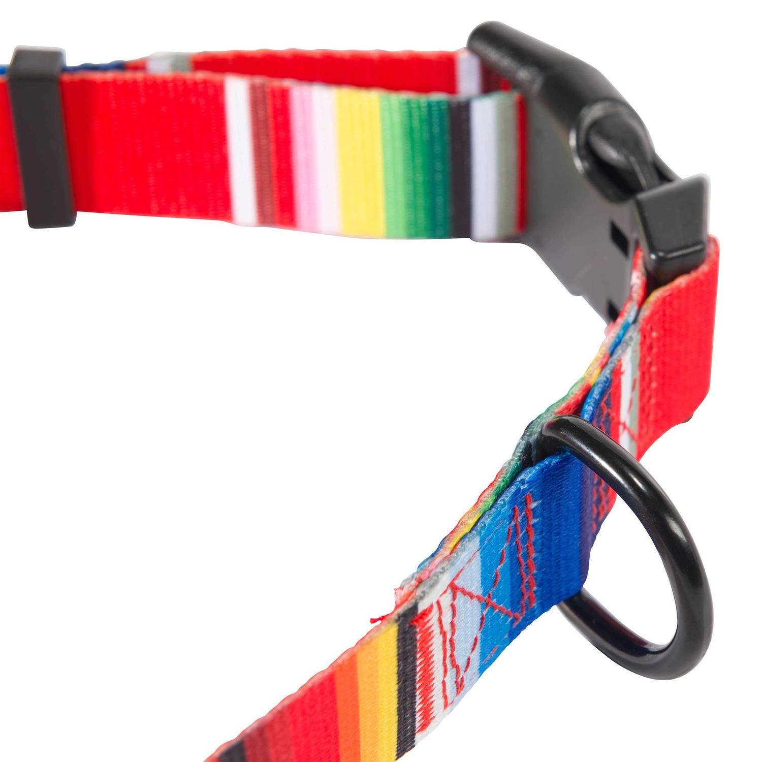 Hooey Nomad Dog Collar - Nail Gallerys