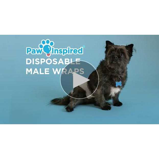 Paw Inspired Ultra Protection Disposable Belly Band Male Dog Wraps - Nail Gallerys