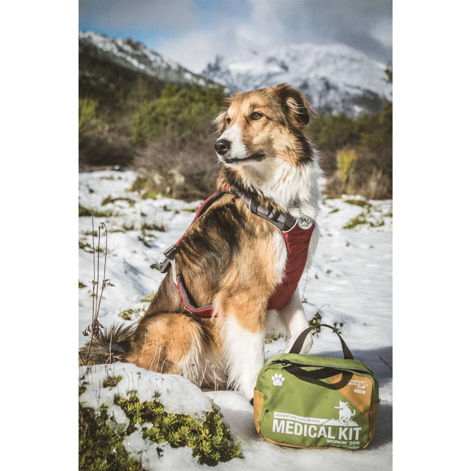 Adventure Medical Dog Series Workin Dog First Aid Kit - Nail Gallerys