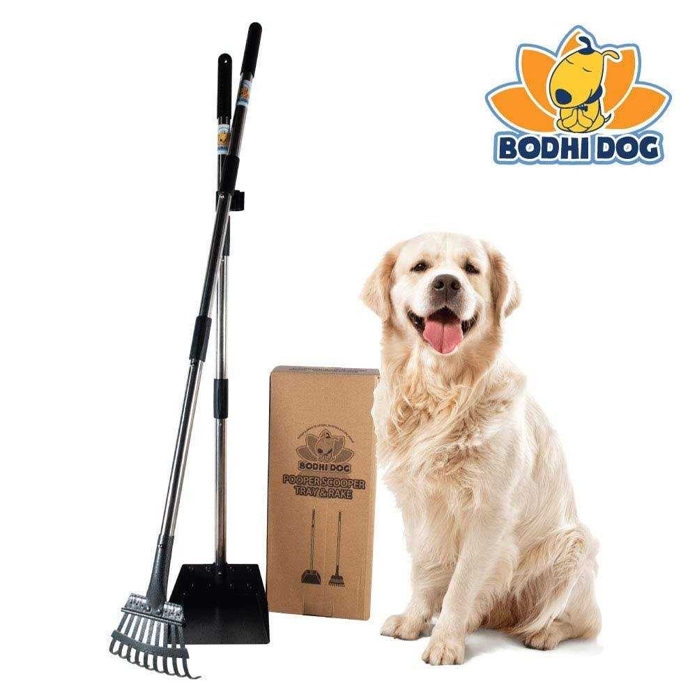 Bodhi Dog Metal Long Handle Tray and Rake Pooper Scooper Small, Medium, Large, XL Pets - Nail Gallerys
