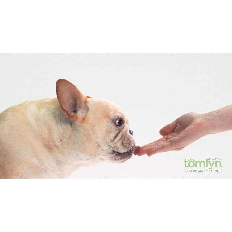 Tomlyn Nutri-Cal High Calorie Nutritional Gel for Dogs - Nail Gallerys