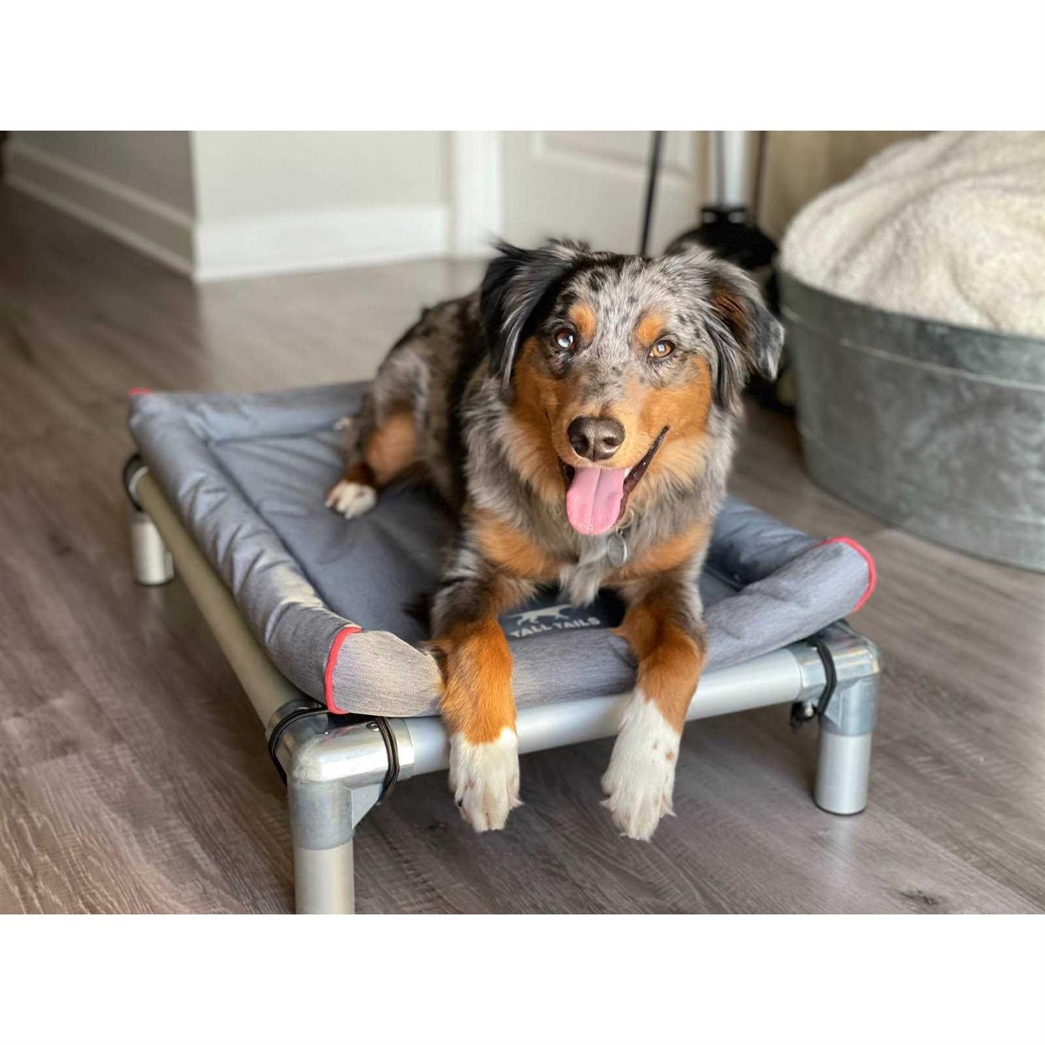 Tall Tails Dream Chaser Crate Dog Bed - Nail Gallerys