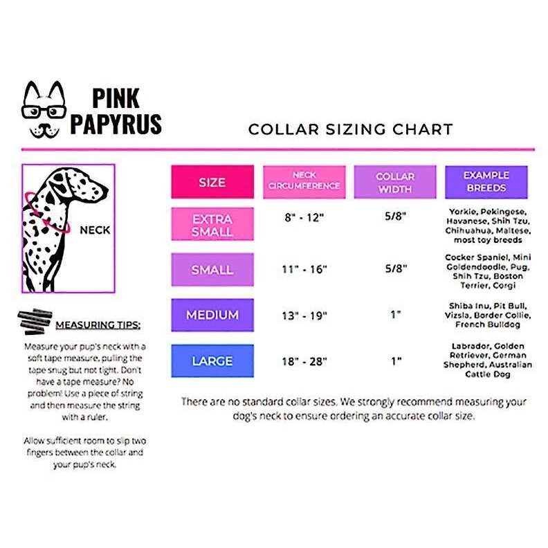 Pink Papyrus Isabella Collar - Nail Gallerys