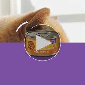 Wellness Chicken & Turkey Pate Complete Health Favorites Variety Pack - Nail Gallerys