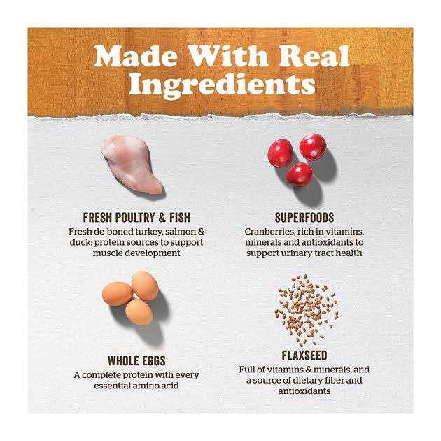 Now Fresh Grain-Free Adult Dry Cat Food - Nail Gallerys