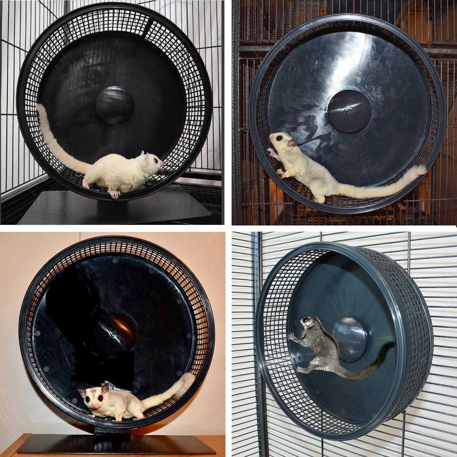 Exotic Nutrition Silent Runner Pro - Nail Gallerys