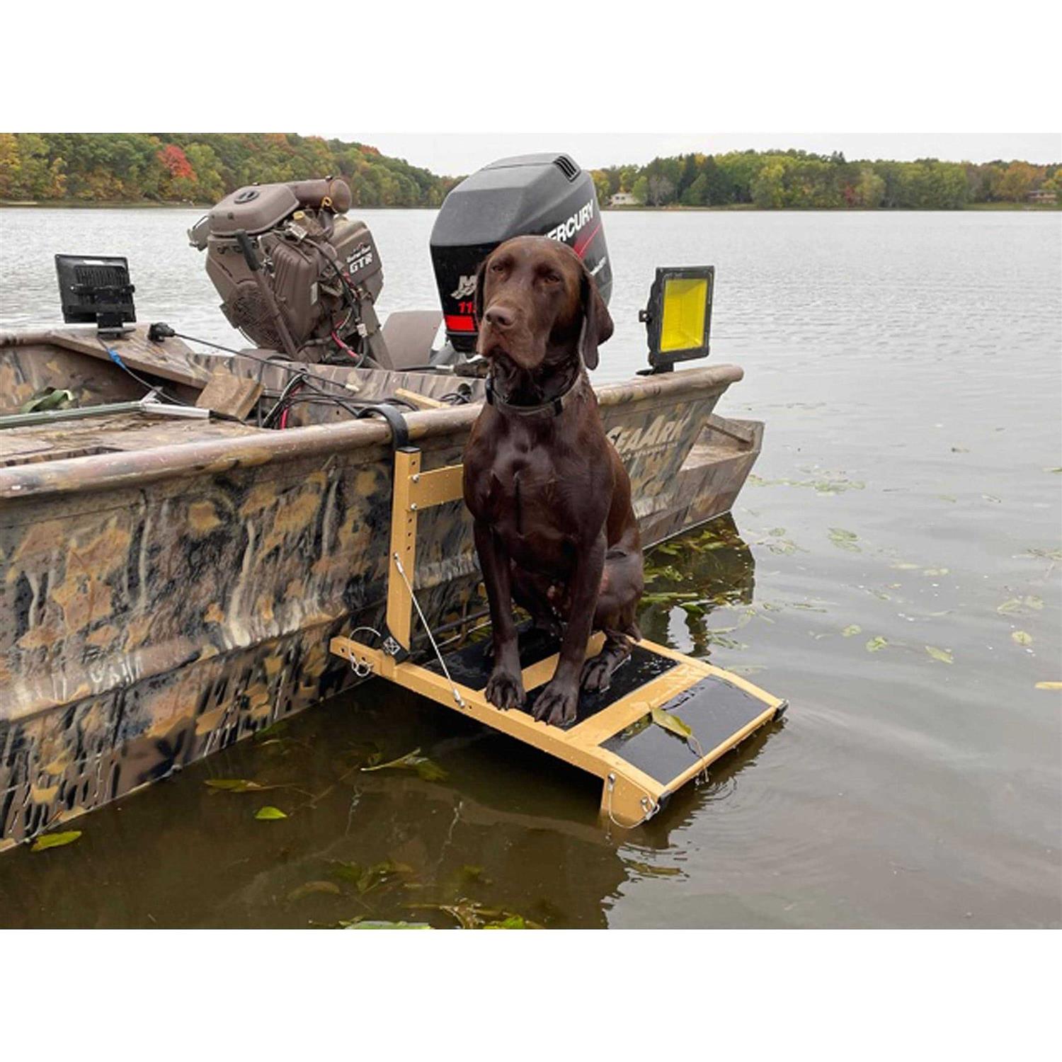 Extreme Max 3005.4296 Dog Ladder/Ramp Platform - Nail Gallerys