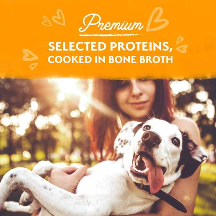 Natural Balance Limited Ingredient Stew Wet Dog Food - Nail Gallerys