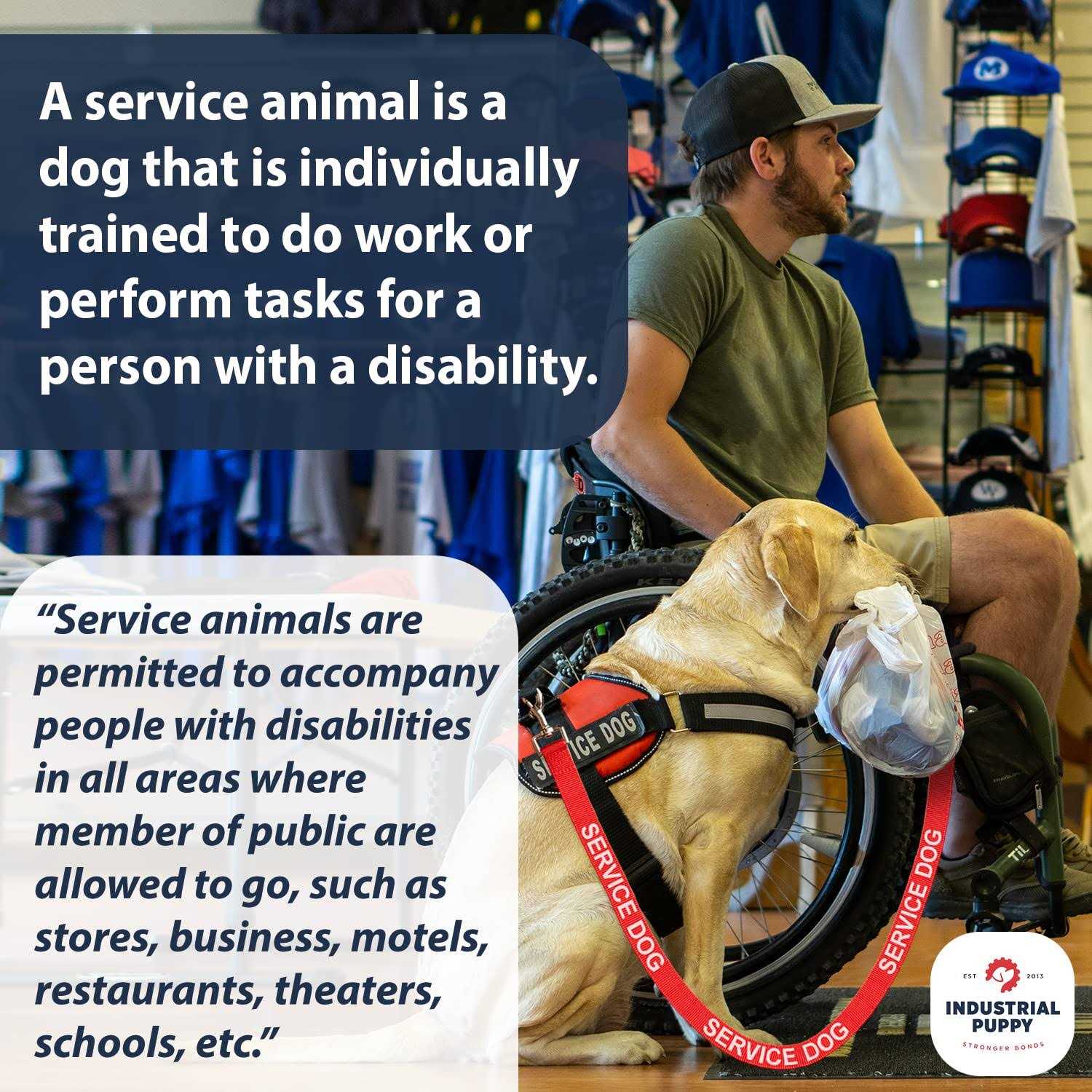 Industrial Puppy Emotional Support Dog Leash Wrap with Neoprene Handle and Reflective Emotional Support Lettering - Nail Gallerys