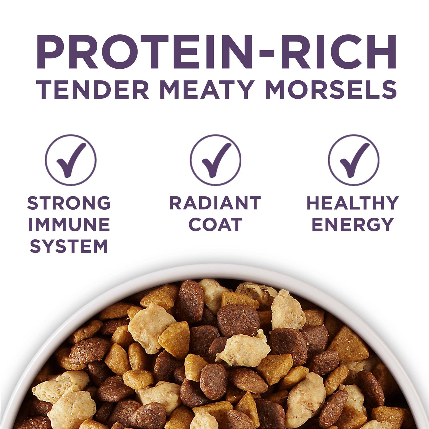 Purina ONE Plus Vibrant Maturity Adult Dry Dog Food Senior - Nail Gallerys