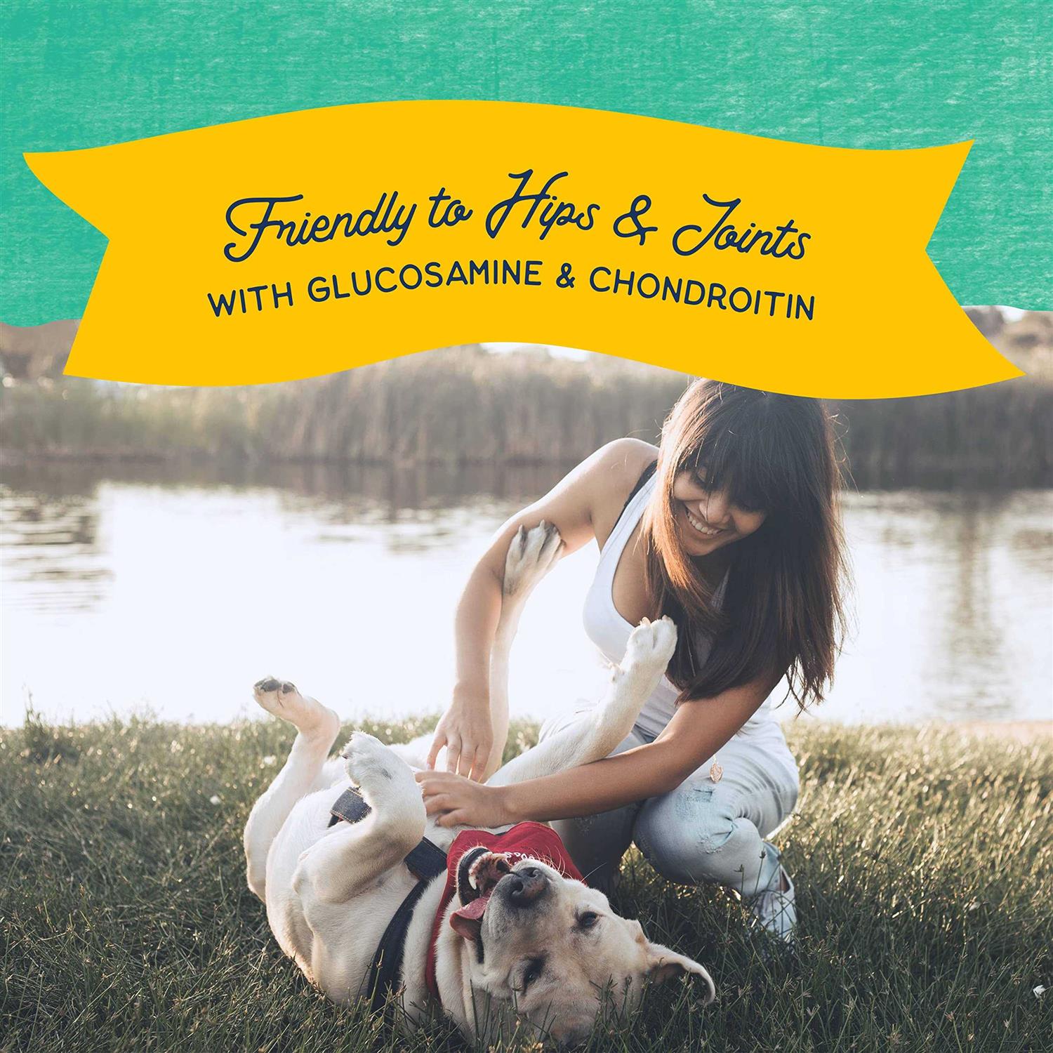 Natural Balance Rewards Jumpin’ Stix Dog Treats - Nail Gallerys