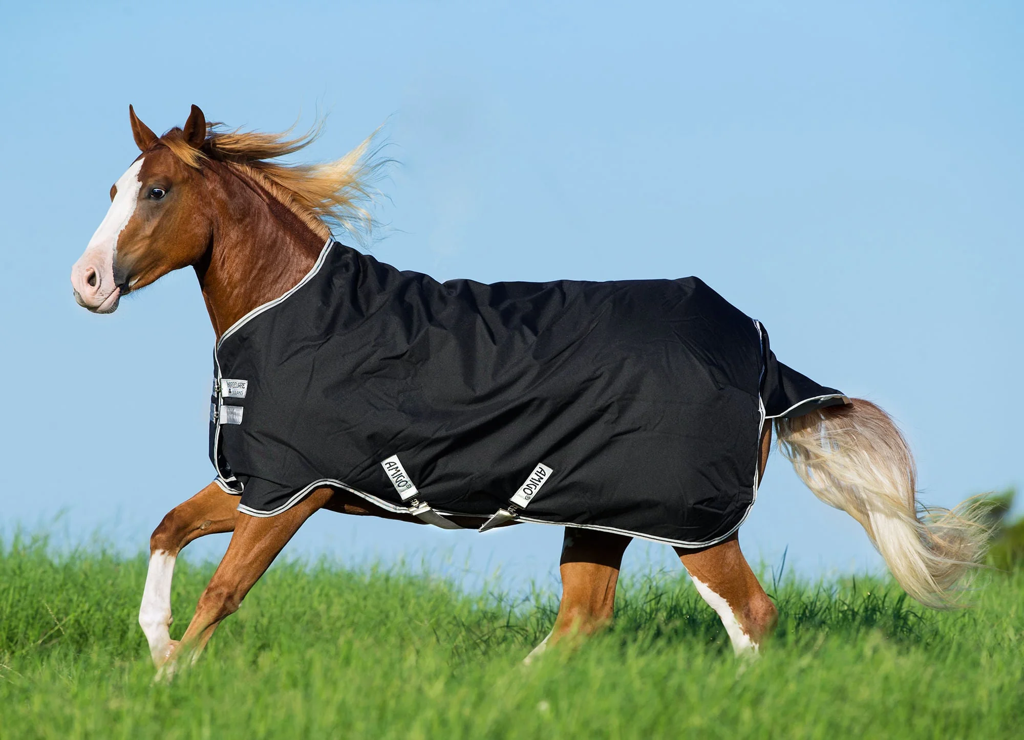 Amigo Stock Medium Weight Horse Turnout Blanket - Nail Gallerys