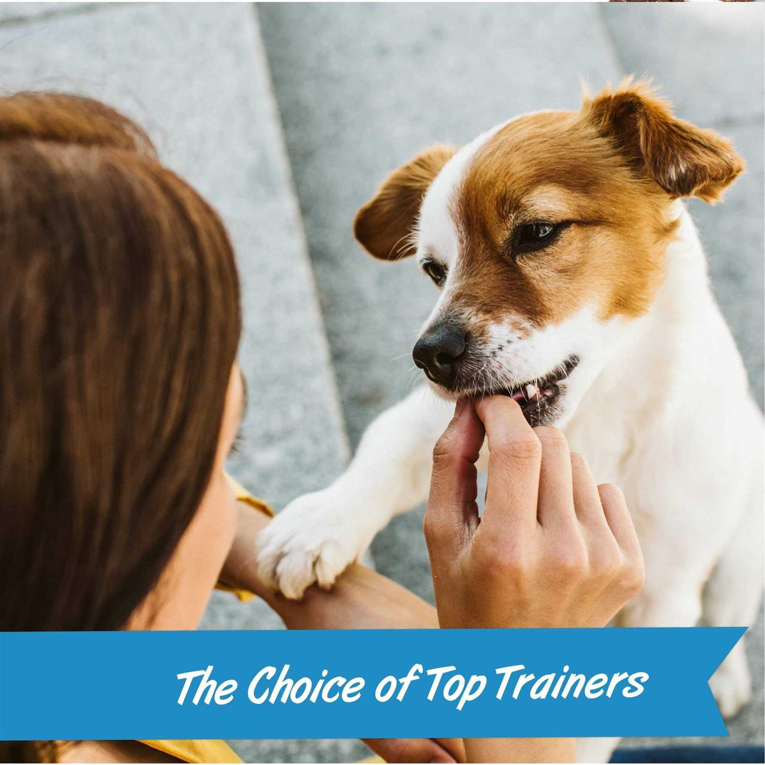 Pet Botanics Mini Training Dog - Nail Gallerys