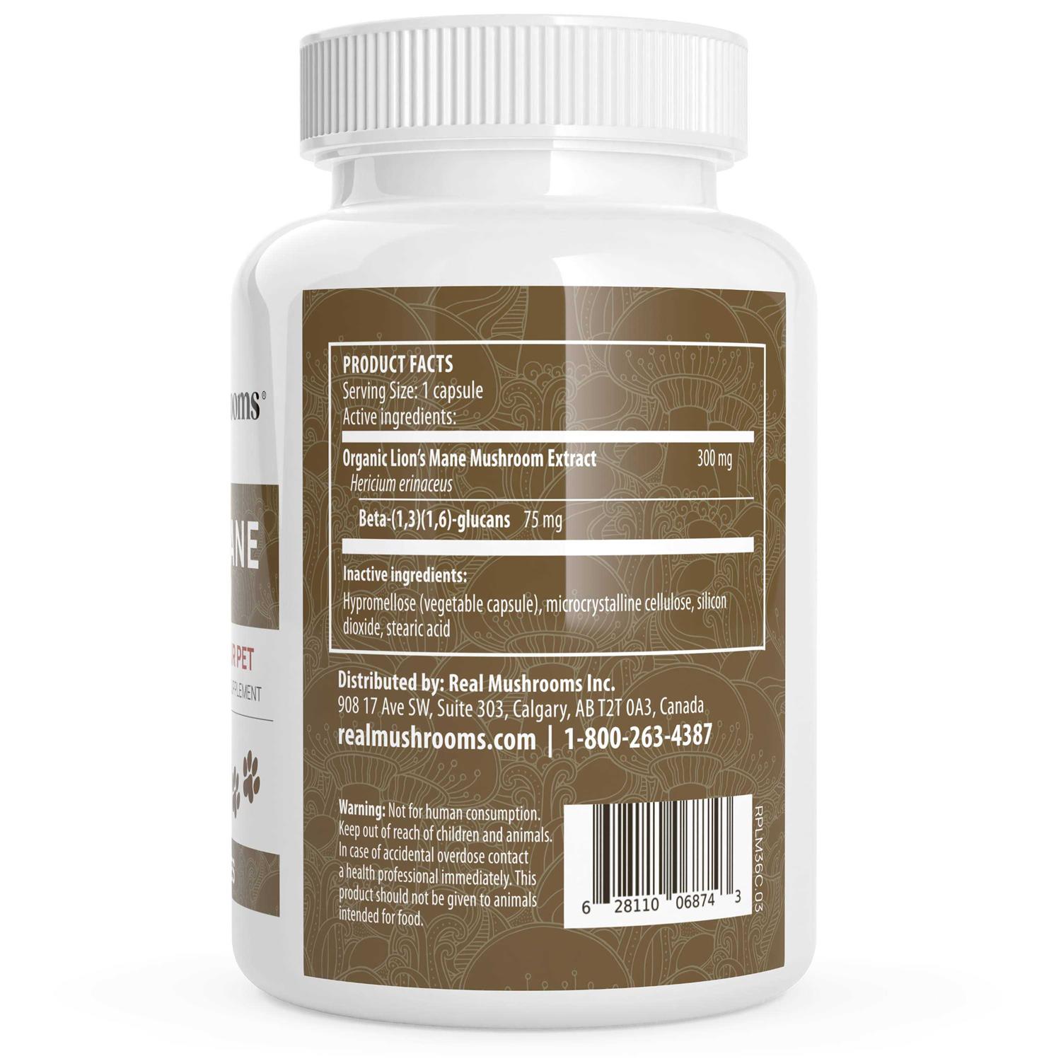 Real Mushrooms Lion’s Mane - Nail Gallerys