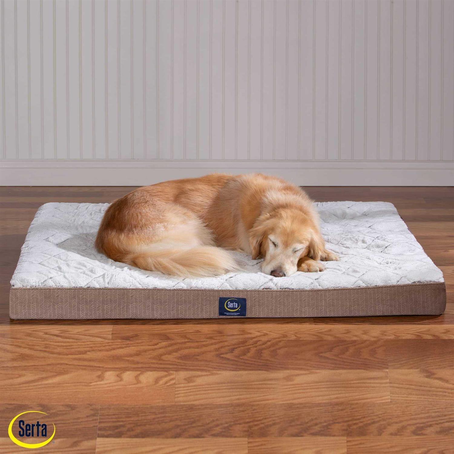Serta Ortho Foam Quilted Pillowtop Pet Bed - Nail Gallerys