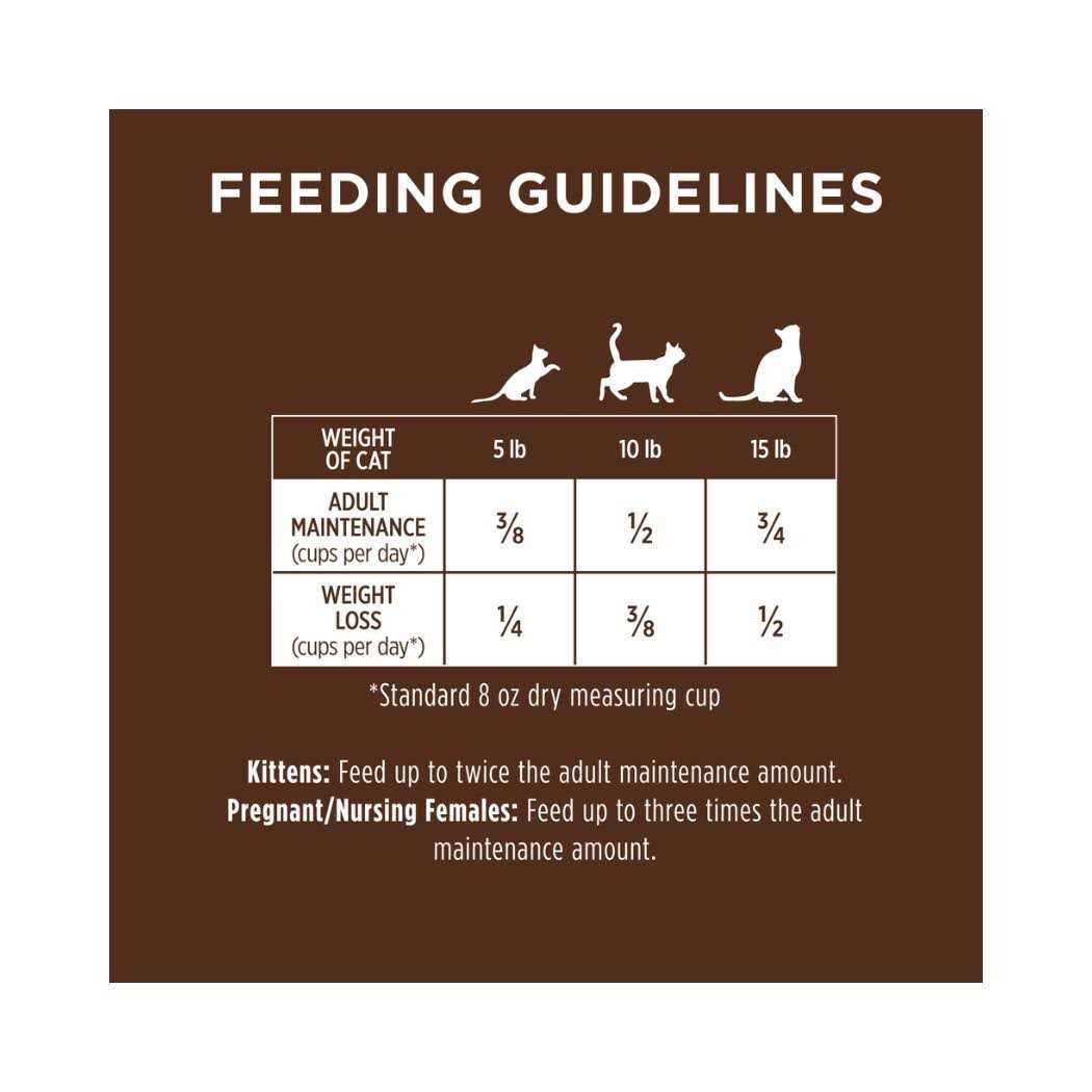 Instinct Original Grain Free Recipe with Real Dry Cat Food - Nail Gallerys