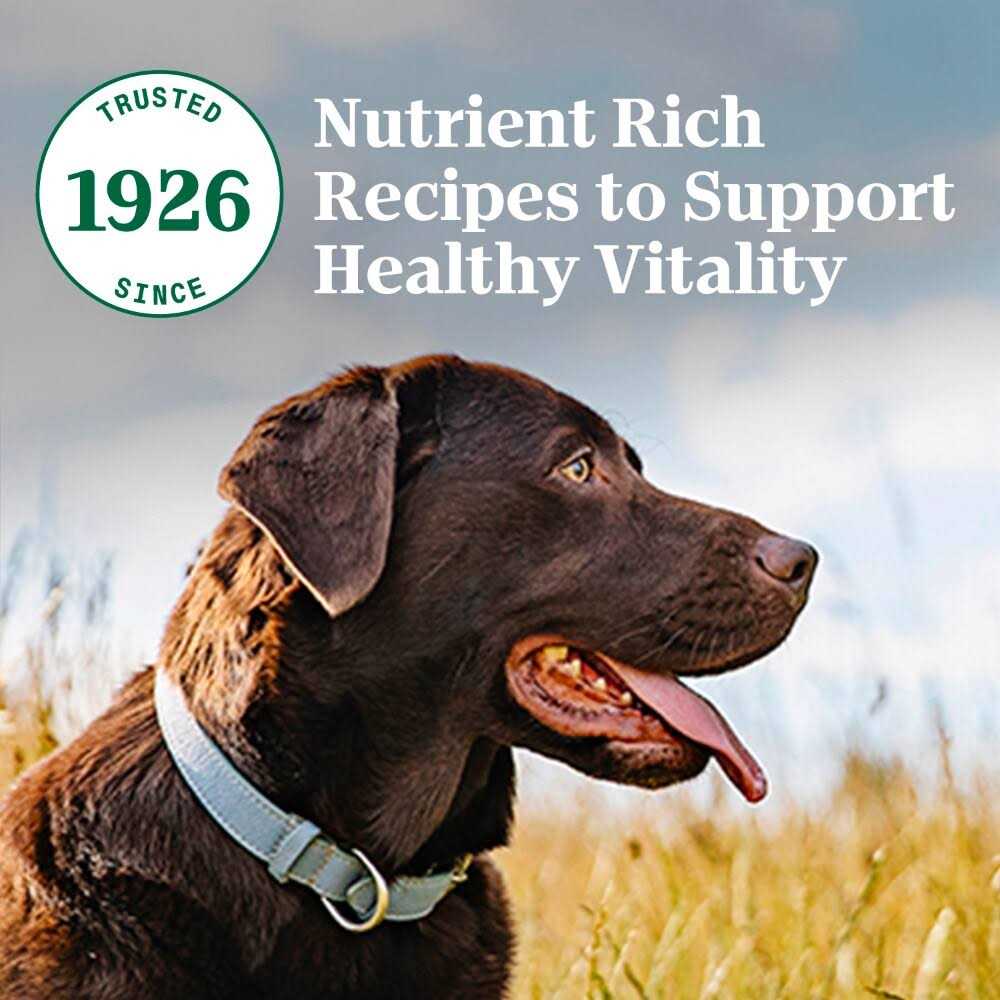 Nutro Natural Choice Adult Beef Rice Dry Dog Food - Nail Gallerys
