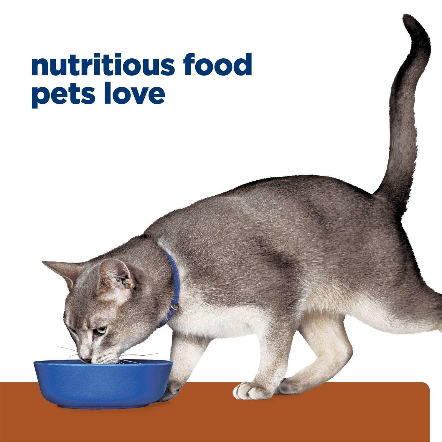 Prescription Diet k/d Kidney Care Cat Dry Food - Nail Gallerys