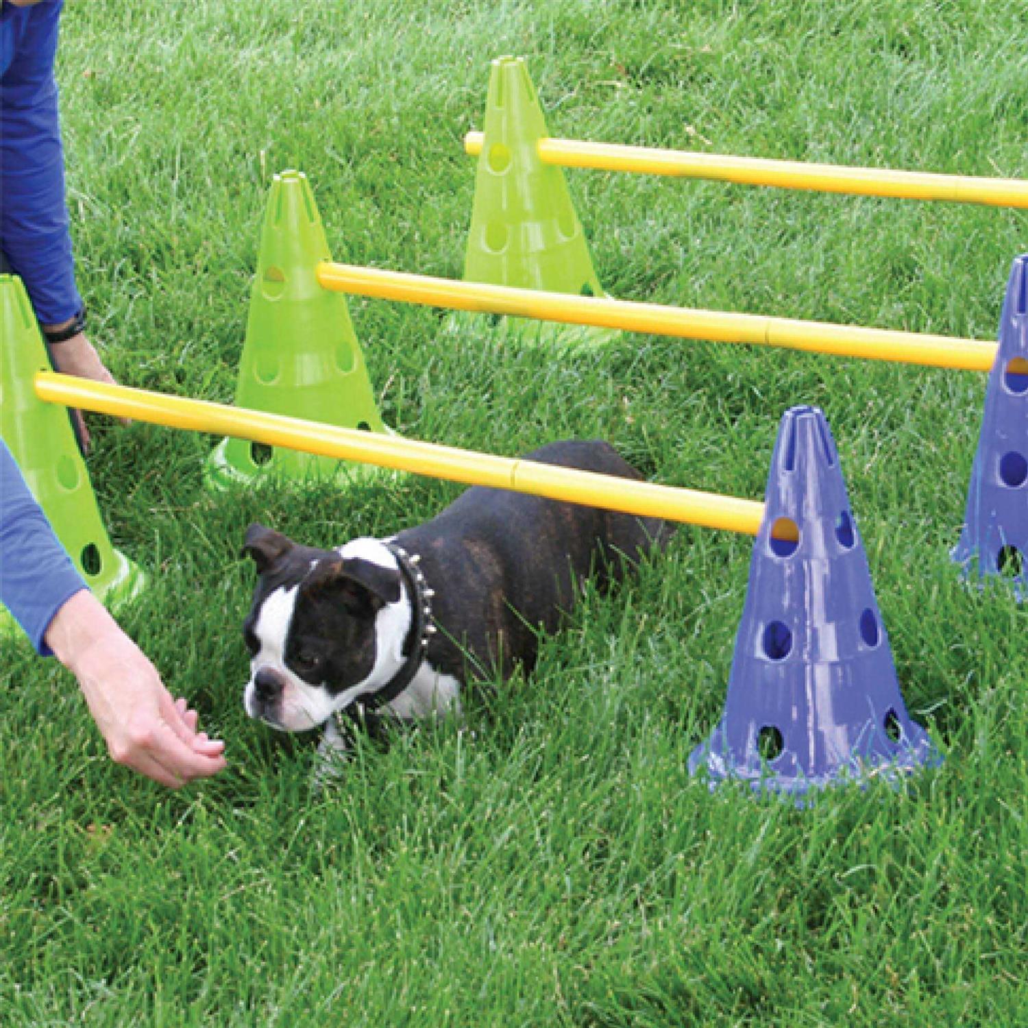 FitPAWS CanineGym Dog Agility Kit - Nail Gallerys