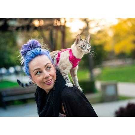 RC Pets Adventure Kitty Cat Harness - Nail Gallerys
