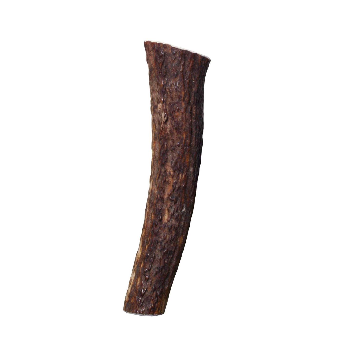 Kong Whole Wild Elk Antler - Nail Gallerys
