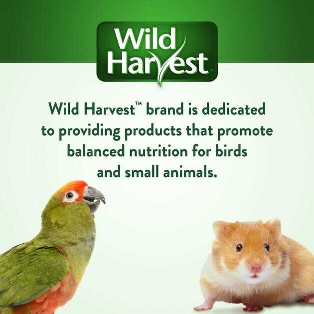 Wild Harvest Universal Blend Birds - Nail Gallerys