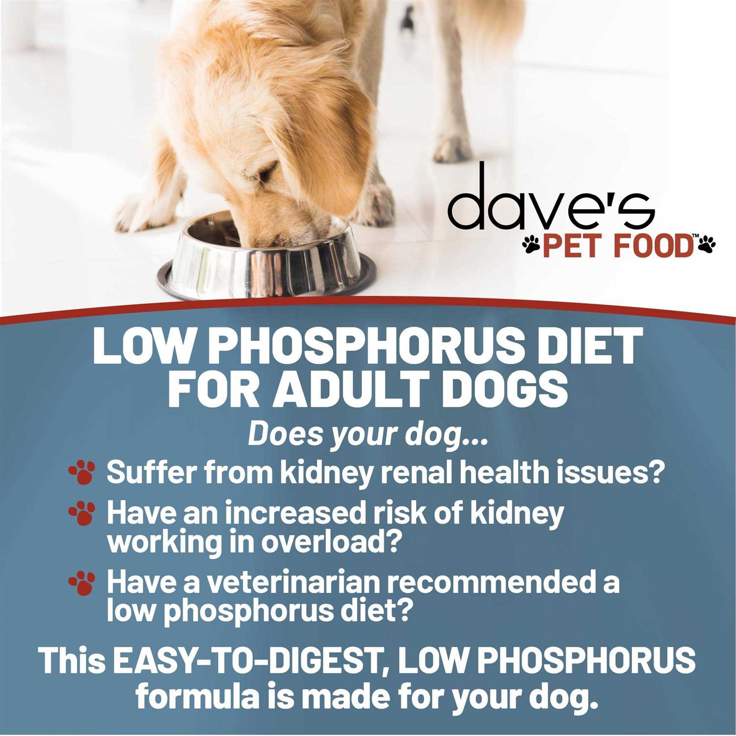 Dave’s Pet Food Kidney Support with Renal Support Chicken Formula Crumble Non-Prescription Low Phosphorus Restricted Diet Dog Food - Nail Gallerys
