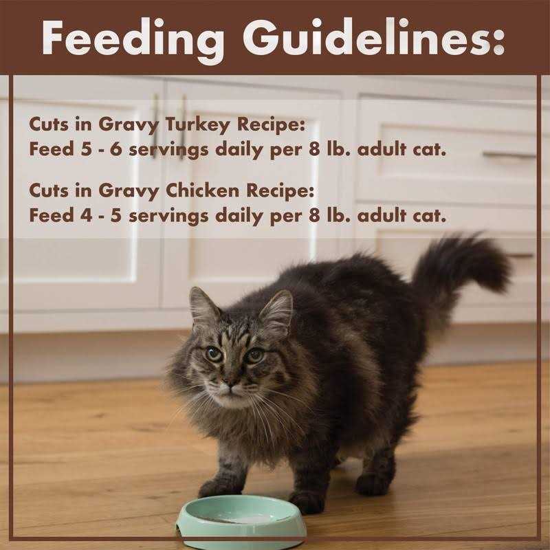 Nutro Perfect Portions Grain Free Cuts in Gravy Turkey Wet Cat Food - Nail Gallerys