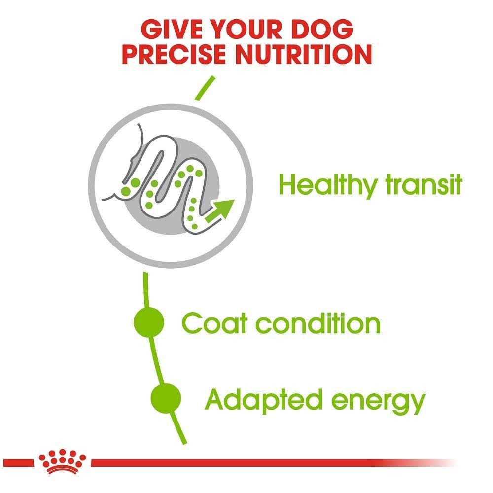 Royal Canin Size Health Nutrition X-Small Adult Dry Dog Food - Nail Gallerys