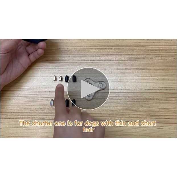 Bousnic Dog Shock collar 3300Ft Dog Training collar with Remote for 5-120lbs Small Medium Large Dogs Rechargeable - Nail Gallerys