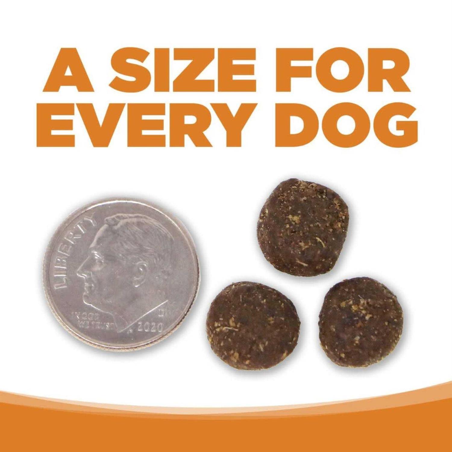 NutriSource Lamb Rice Dry Dog Food - Nail Gallerys