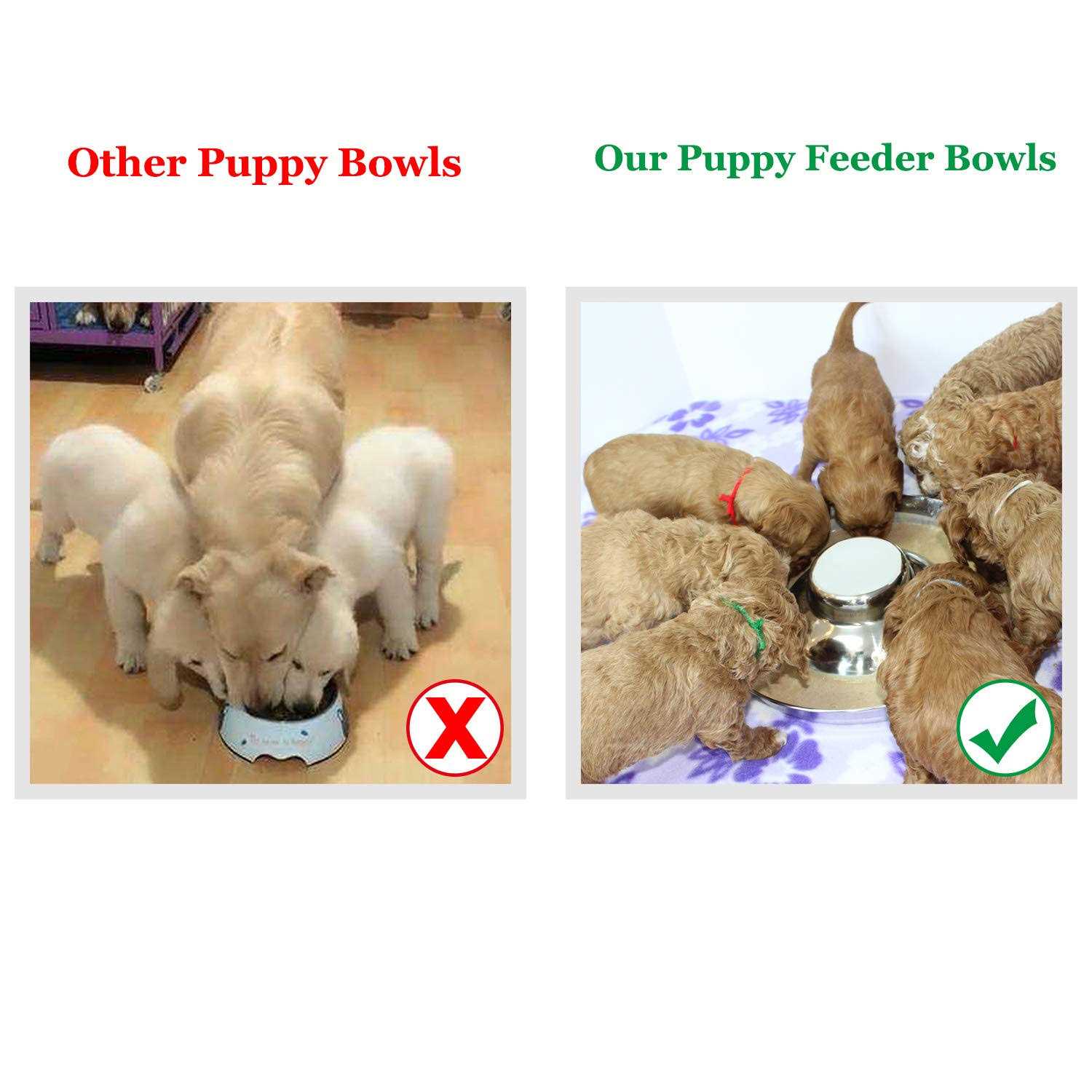 Podinor Stainless Steel Puppy Dog Bowls Pets Puppies Feeding Food and Water Weaning Bowls Dishes Feeder - Nail Gallerys