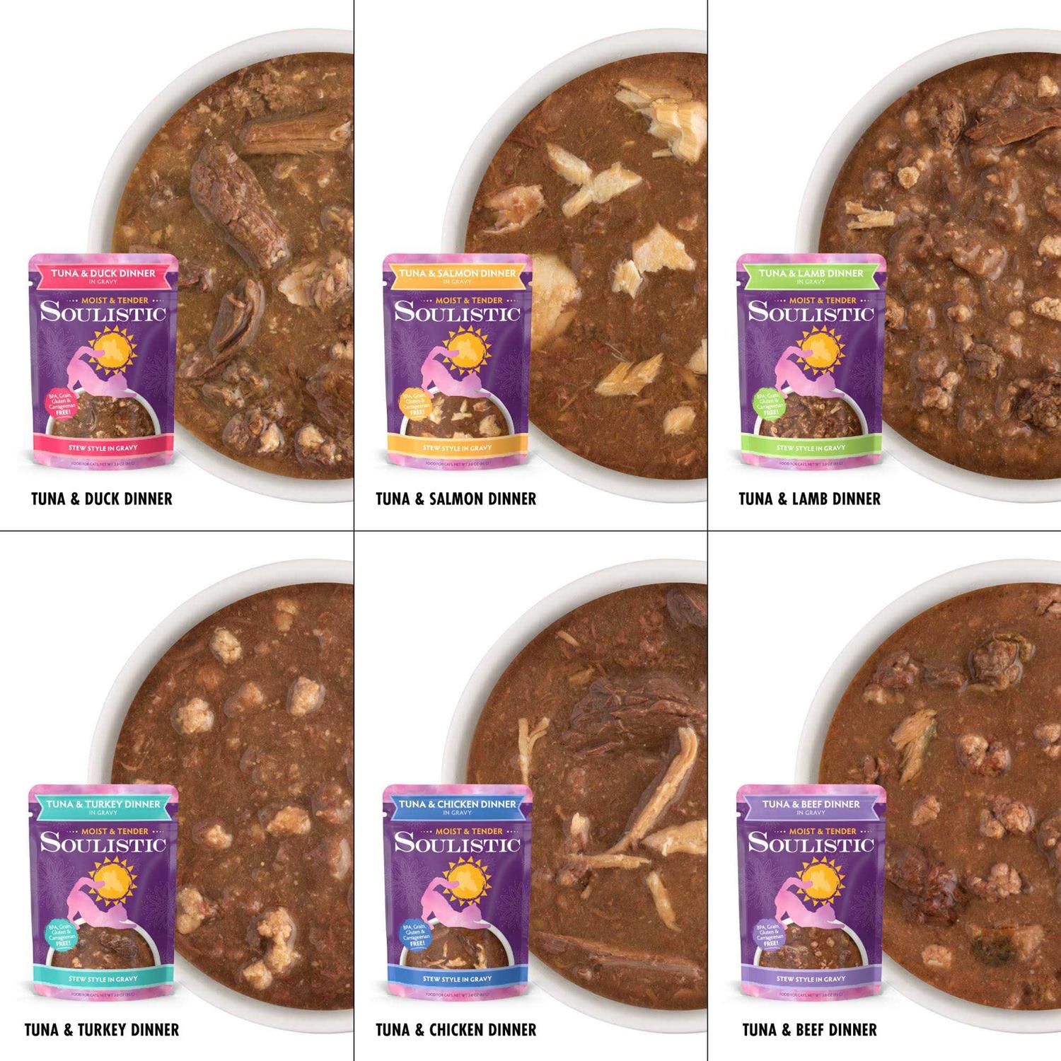 Soulistic Moist & Tender Variety Pack Wet Cat Food - Nail Gallerys
