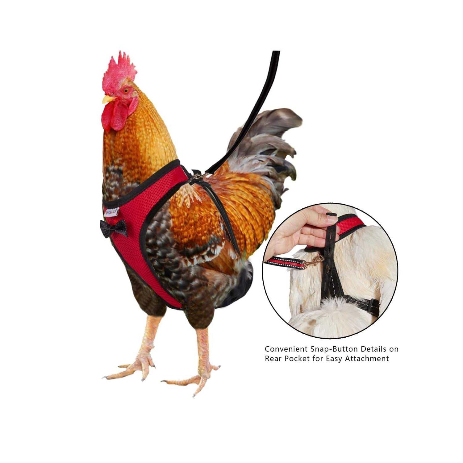 Yesito Chicken Harness Hen Size with 6ft Matching Leash - Nail Gallerys