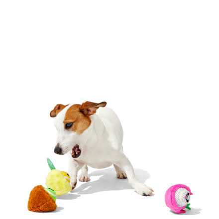 Barkbox Fruity Cutie Tropical Trio Dog Toys Squeaker Ball Toys - Nail Gallerys