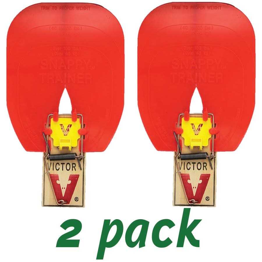 Hueter Toledo The Original Snappy Trainer - Nail Gallerys