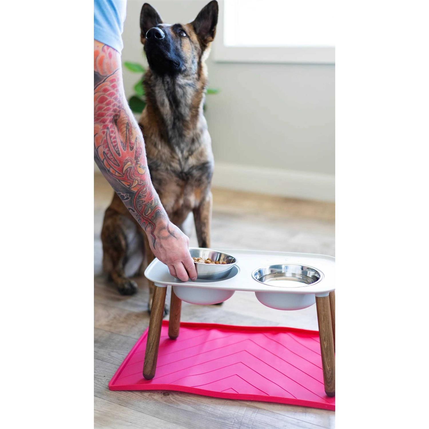 Messy Mutts Dog Double Feeder Elevated - Nail Gallerys