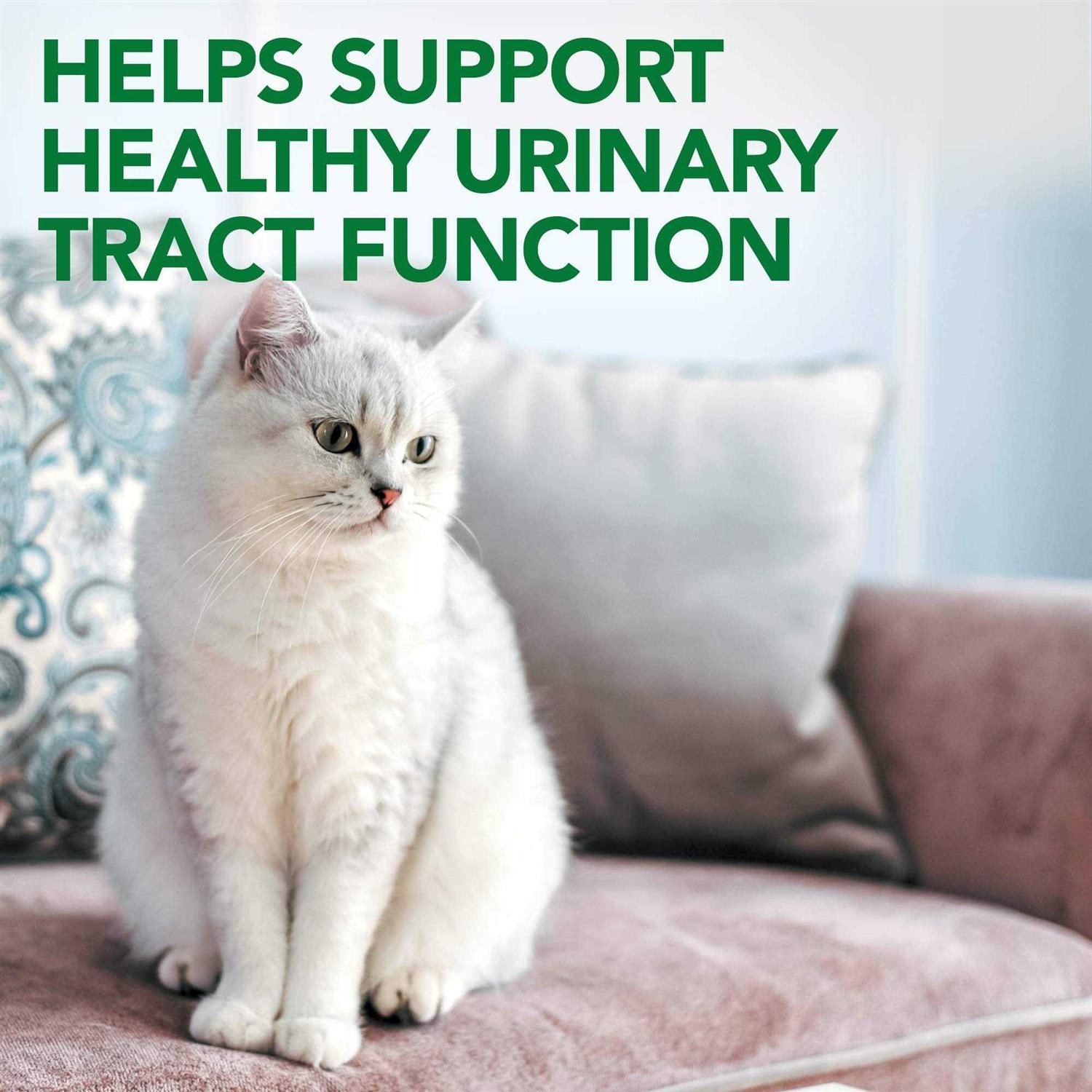 Vet’s Best Urinary Tract Support - Nail Gallerys