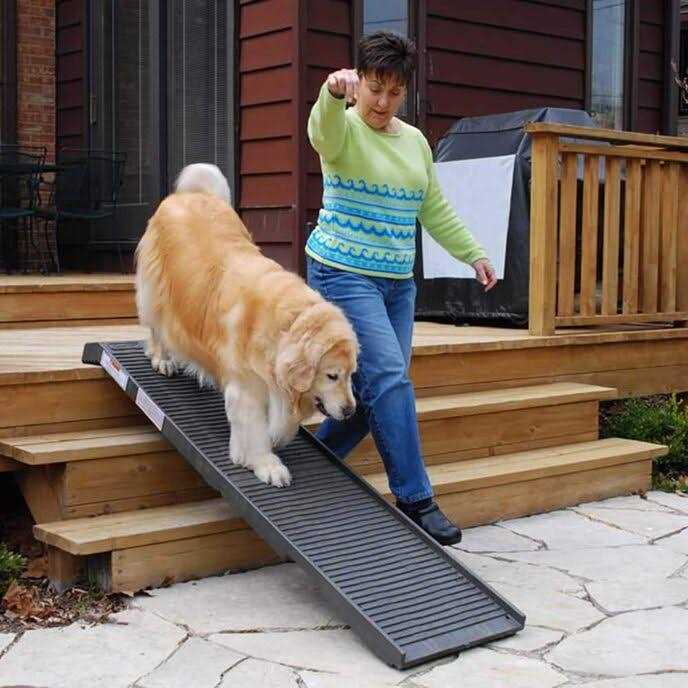 Petstep Folding Dog Ramp - Nail Gallerys
