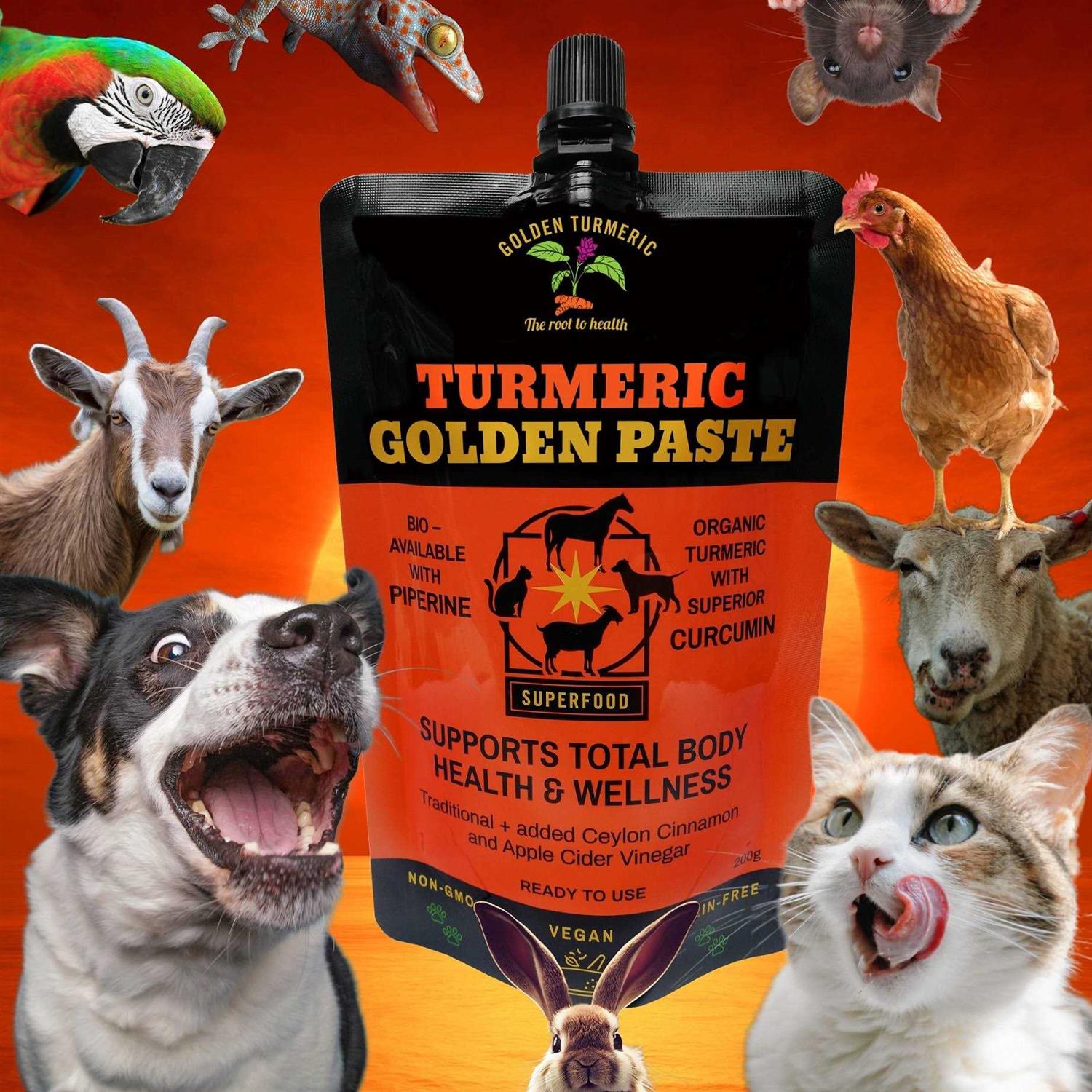 Turmeric Golden Paste for Pets 7 OZ - Nail Gallerys
