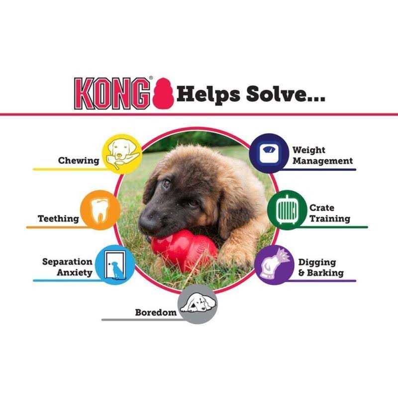KONG Senior Dog Toy - Nail Gallerys