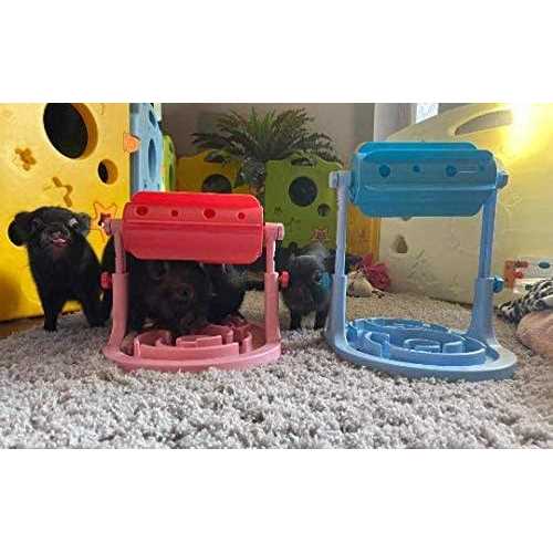 Piggy Poo and Crew Adjustable Height Slow Feeder Game - Nail Gallerys