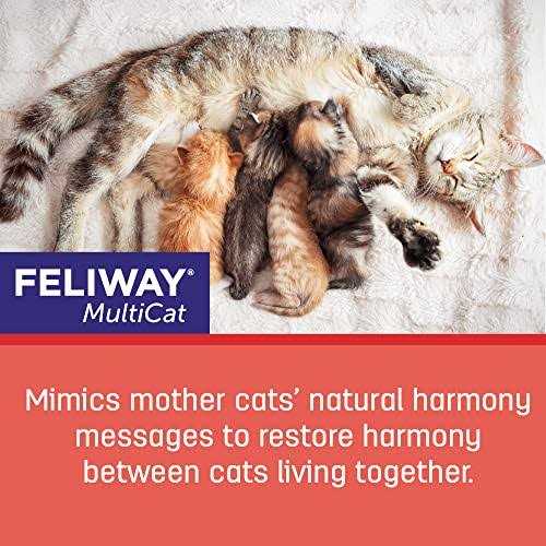 Feliway Multicat 3-Pack Refill - Nail Gallerys