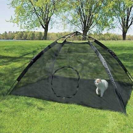 Abo Gear Outdoor Cat Tent Black Large 75 inchl x 64 inchw x 37 inchh - Nail Gallerys
