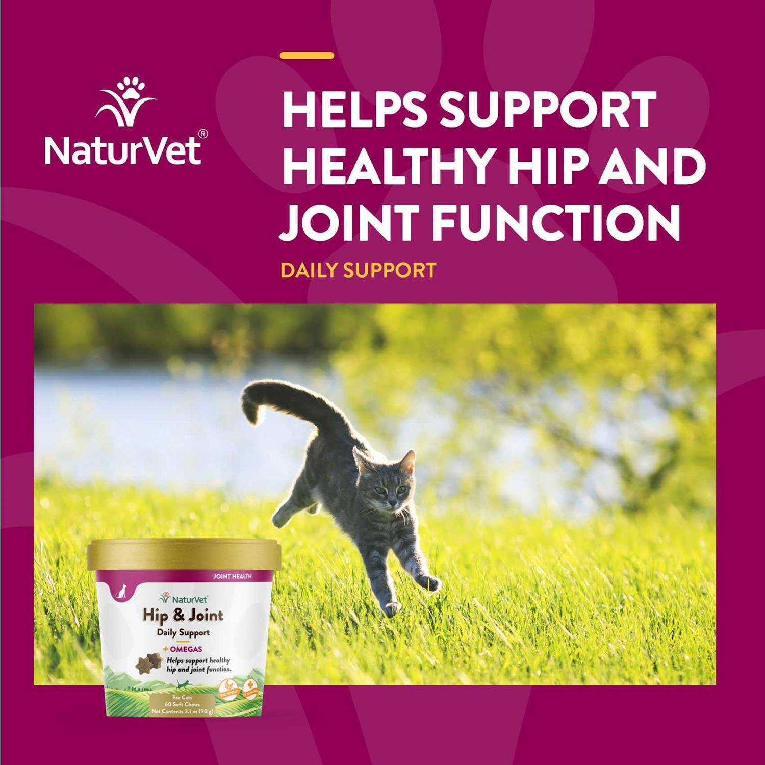 NaturVet Hip & Joint Plus Omegas Soft Chews Cat Supplement - Nail Gallerys