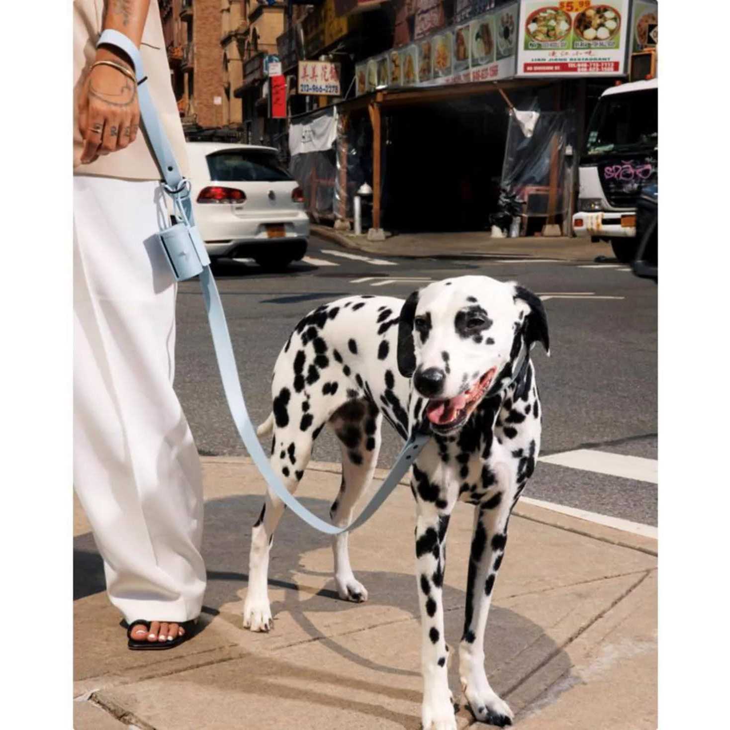 Fable Waste Bag Holder - Nail Gallerys