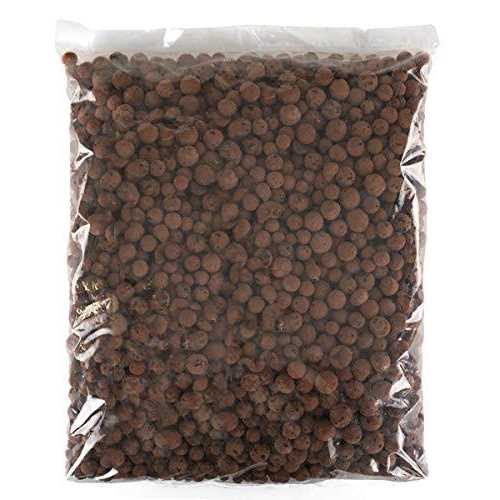 Josh’s Frogs False Bottom - Nail Gallerys