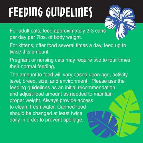 Tiki Cat After Dark Chicken Cat Food - Nail Gallerys