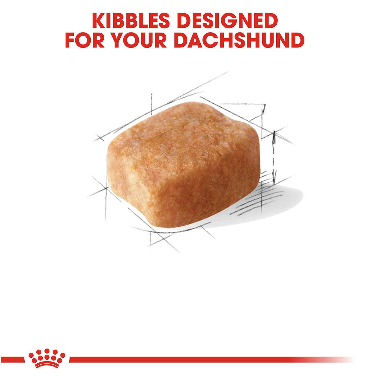 Royal Canin Breed Health Nutrition Dachshund Adult Dry Dog Food - Nail Gallerys