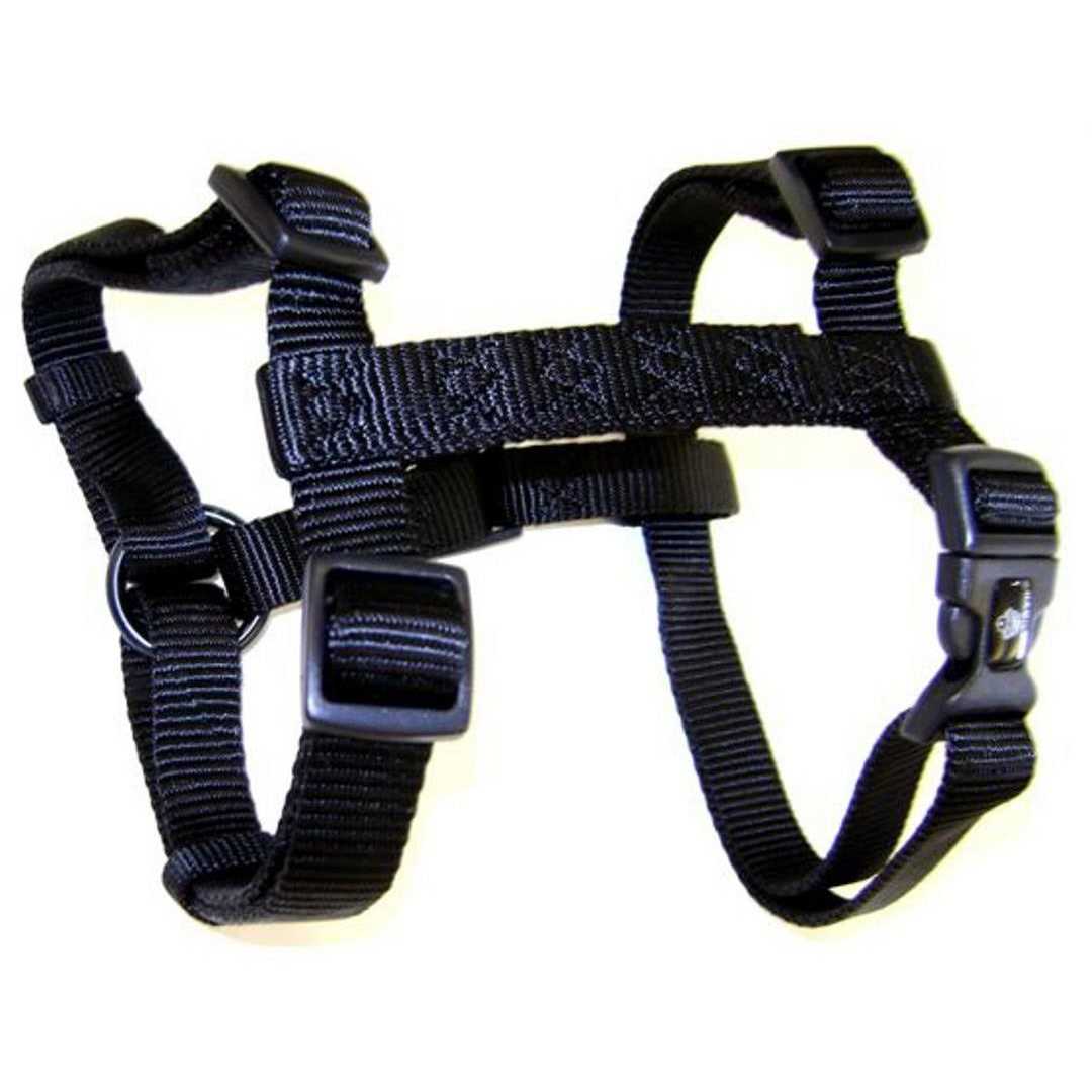 Hamilton Adjustable Dog Harness - Nail Gallerys